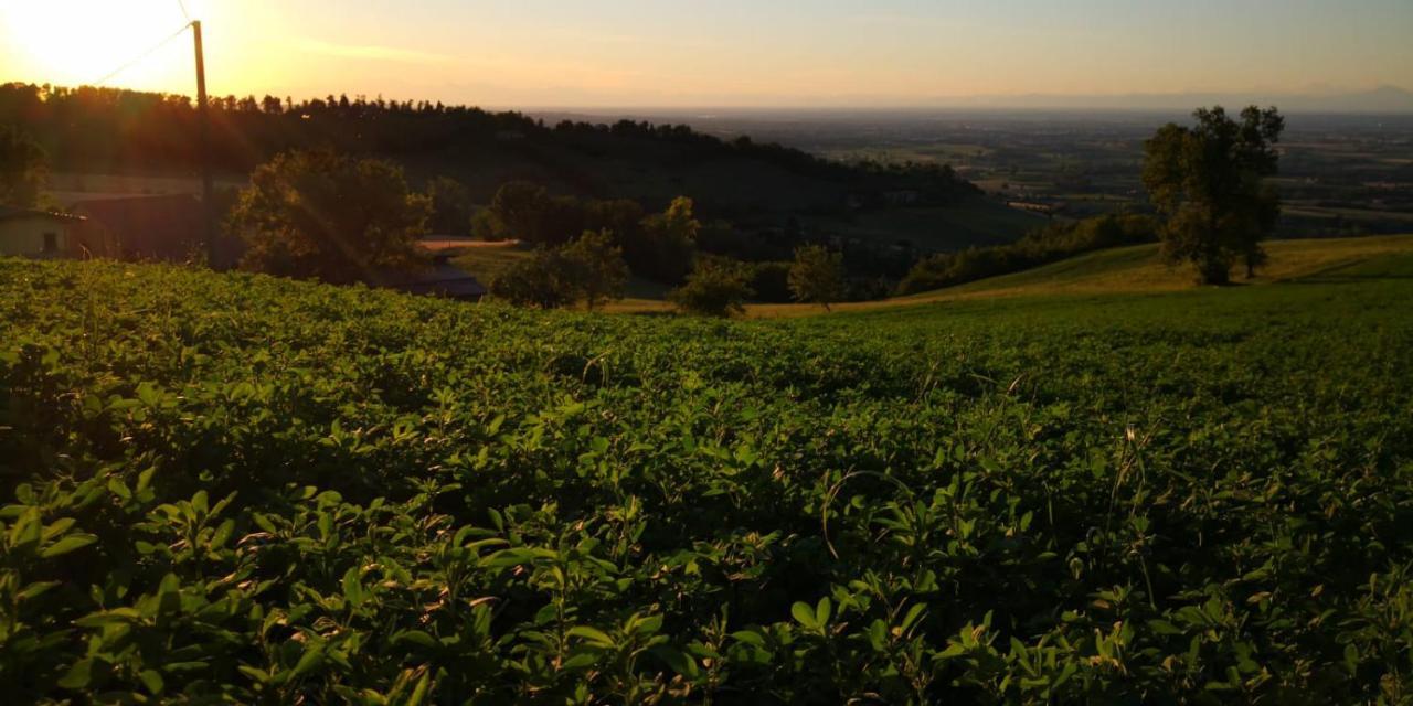 הוילה Piozzano Agriturismo Agronauta מראה חיצוני תמונה